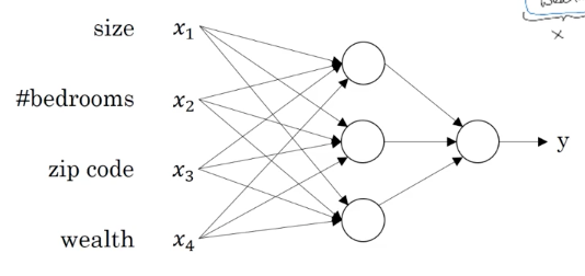 real-neural-network